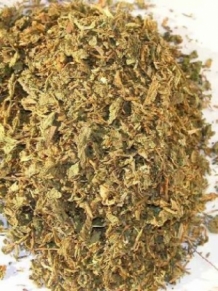Bacopa monnieri (Fo-ti-tieng)